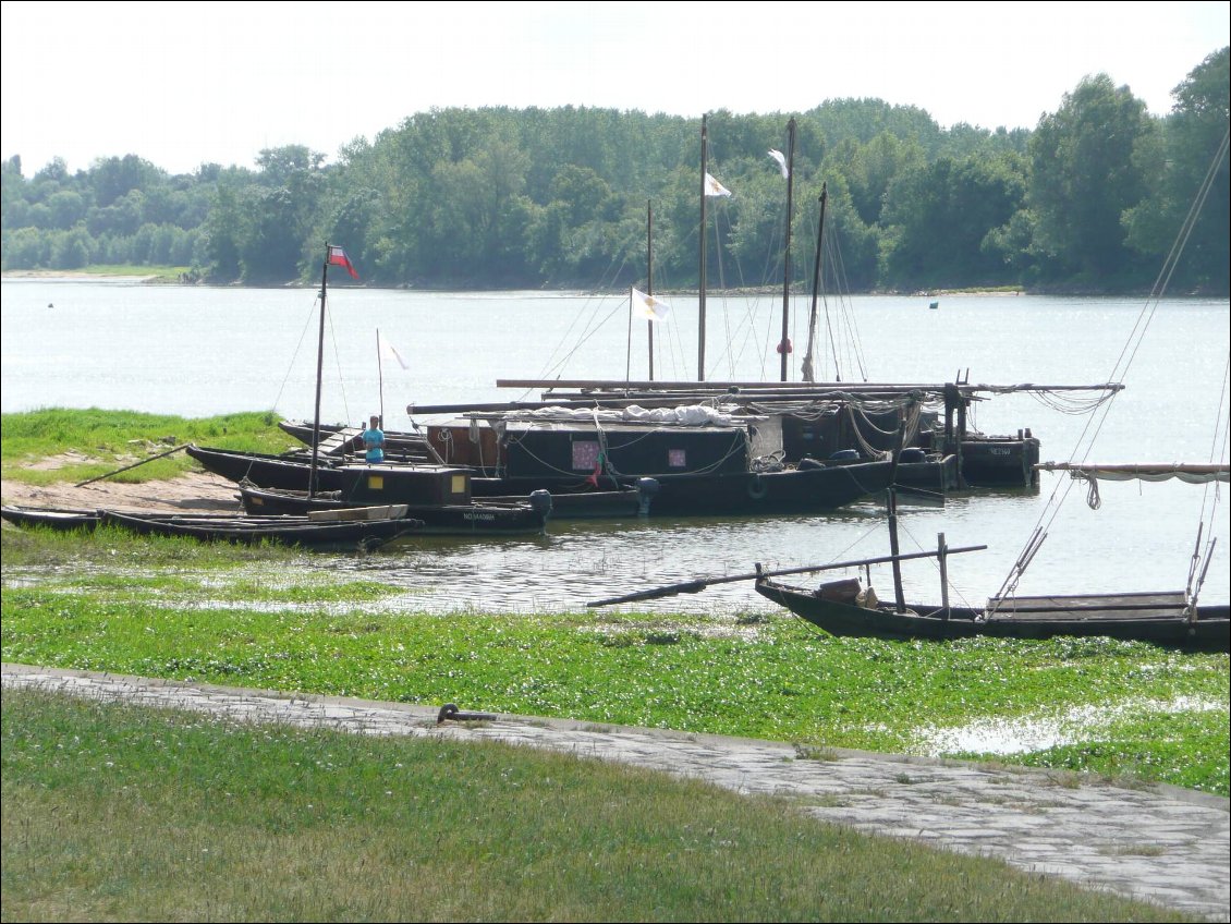 Bouguenais - Saumur