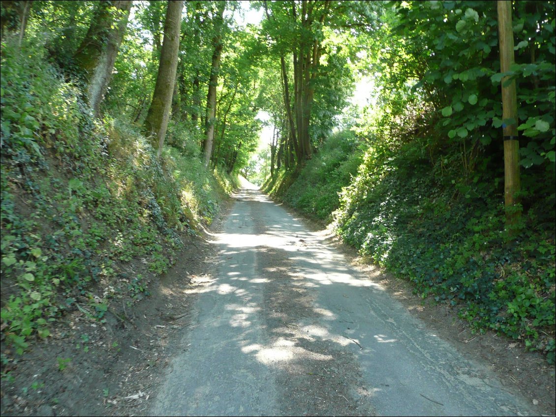 Bouguenais - Saumur