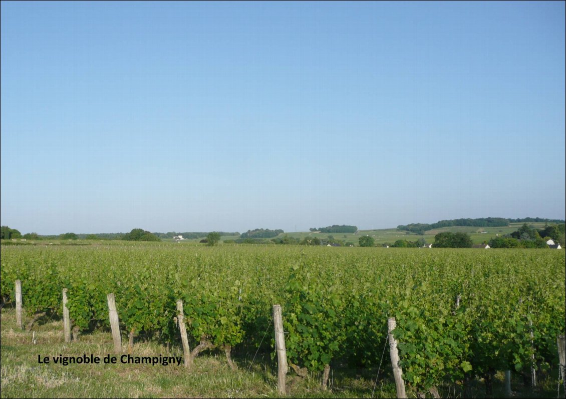 Saumur - Amboise