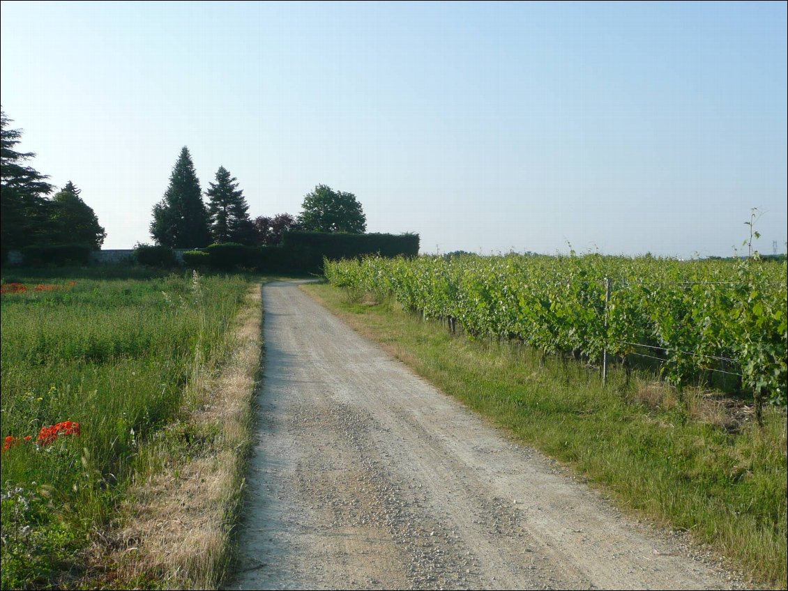 Saumur - Amboise