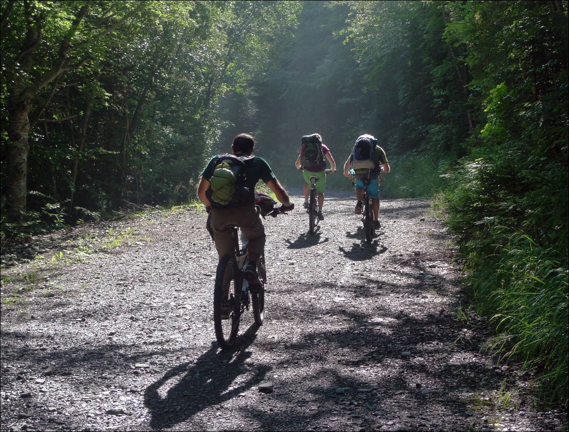 La piste en sous-bois au début...