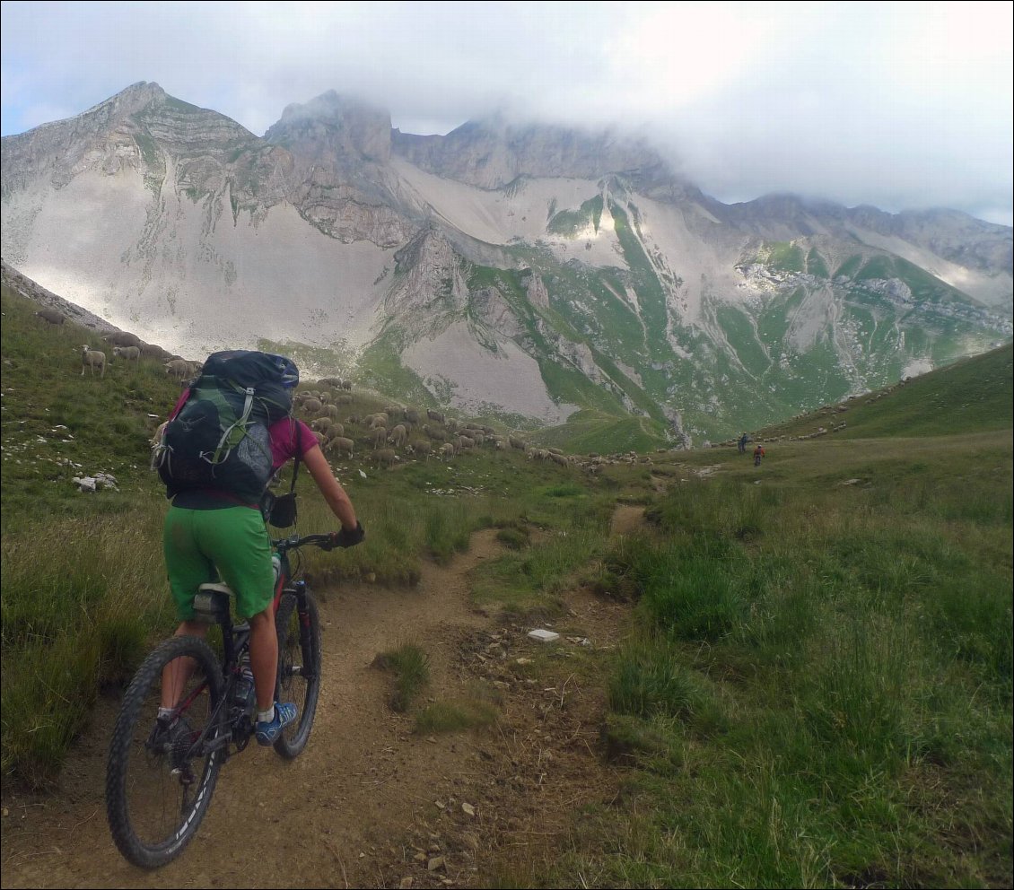 Petit bout de descente vers le lac du Lauzon, avant de terminer la montée vers le col Charnier. Priorité aux moutons :-)