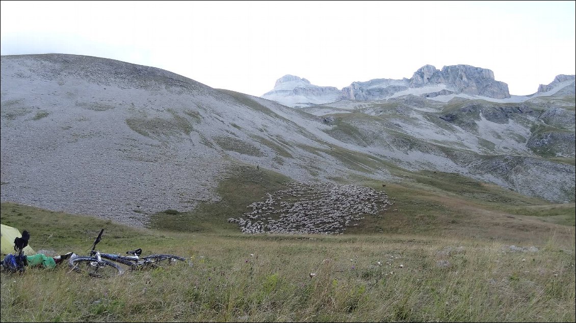 Depuis le bivouac, le berger Alex ramène son troupeau. Sa rencontre sera un super moment de convivialité et d'échange (cf. CA#46).