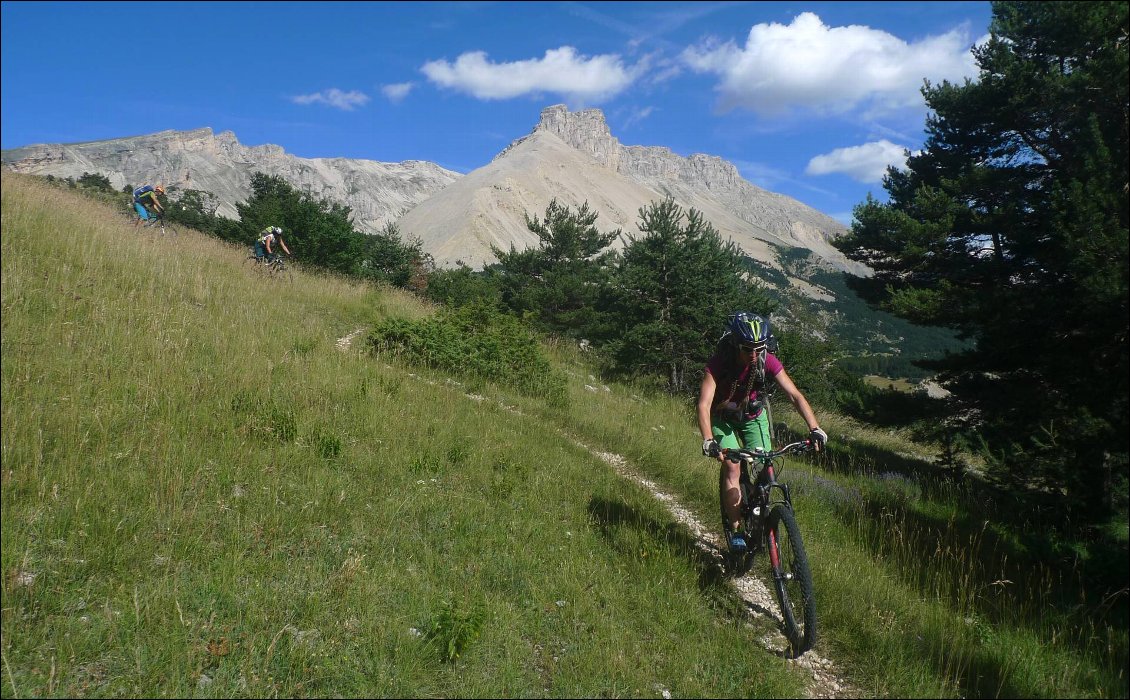 Descente ludique vers la Cluse : un sentier parfaitement dessiné pour le VTT !