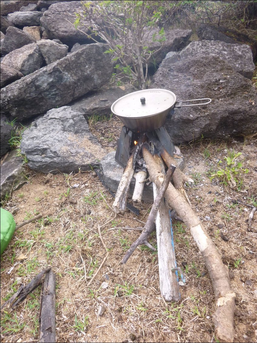 On trouve du bois partout pour le réchaud..