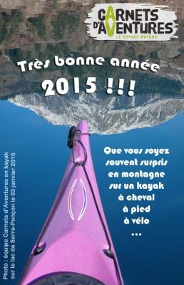 bonne-annee-2015