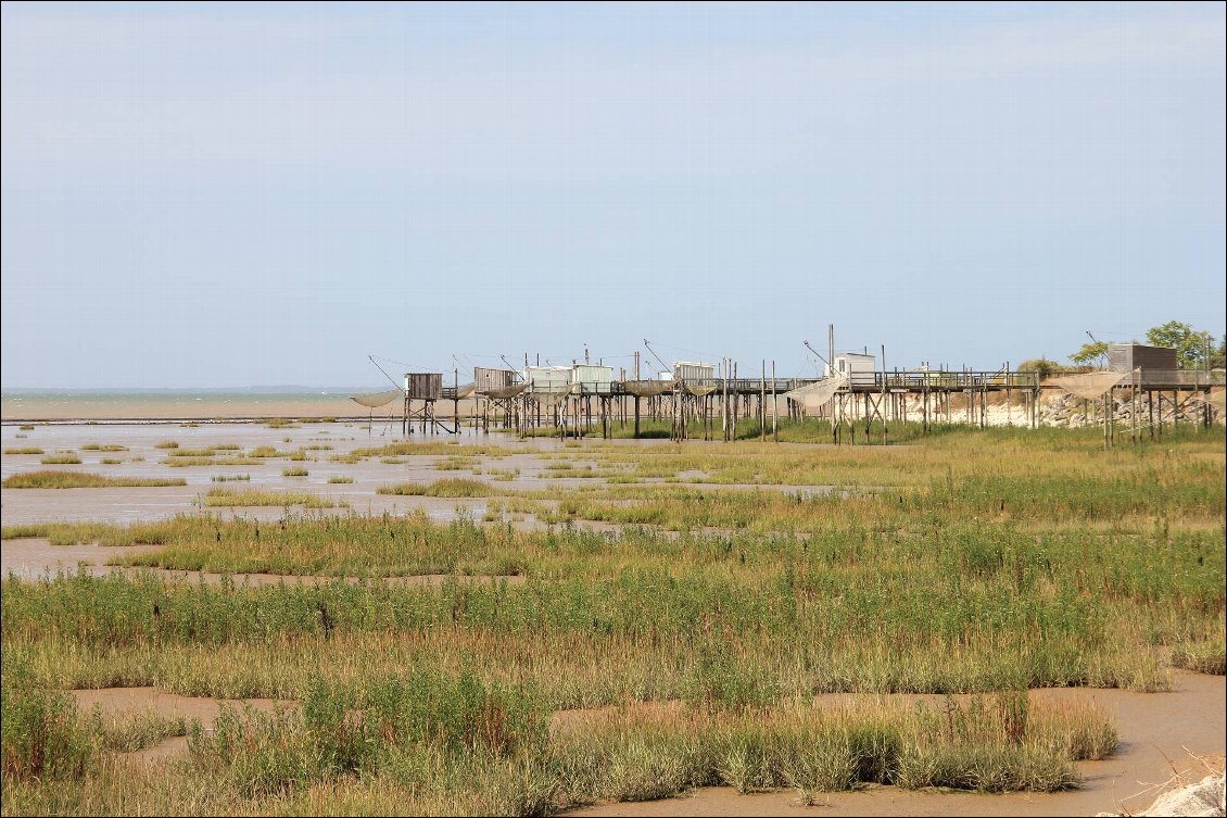 Estuaire de la Gironde