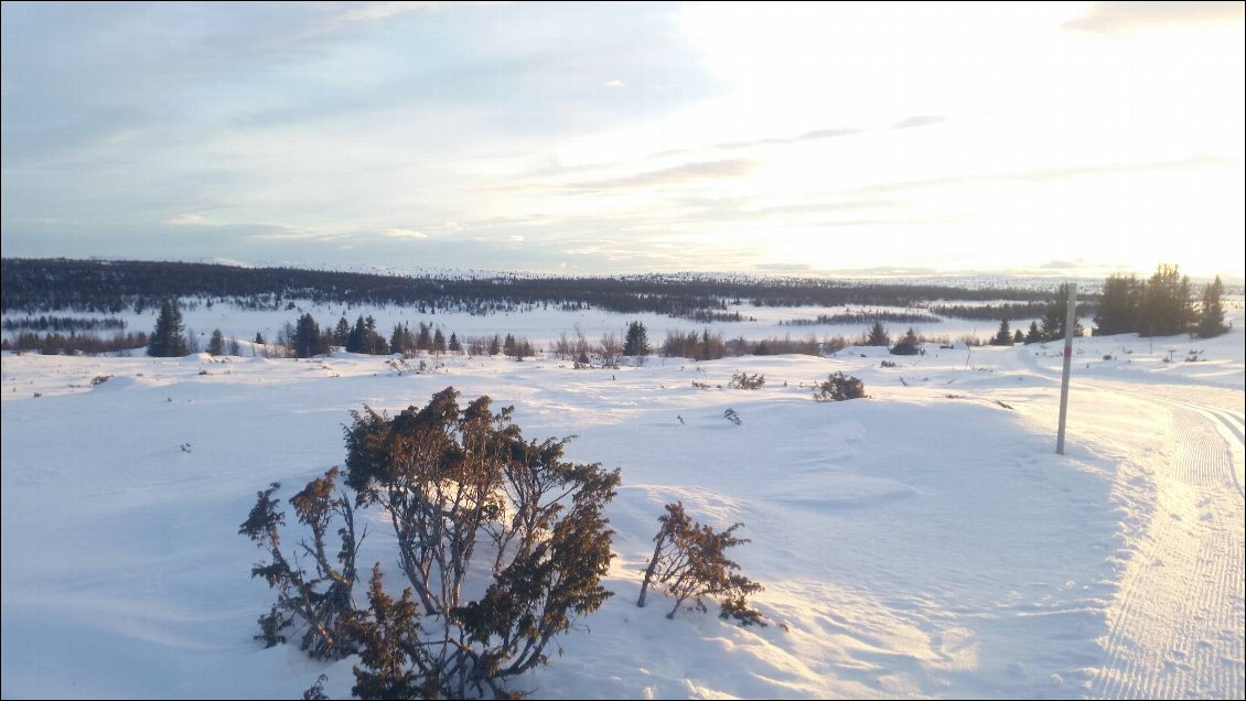 Quelle flamme pourrait égaler le rayon de soleil d’un jour d’hiver ?