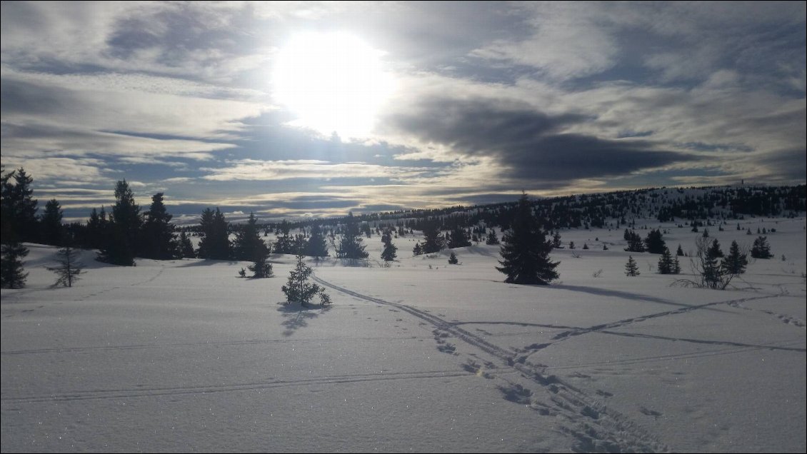 Cover of 9 jours en ski de fond  sur la piste des trolls