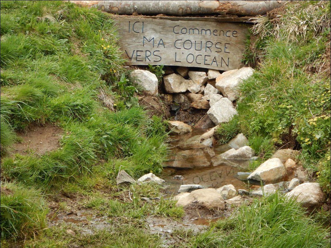 La source