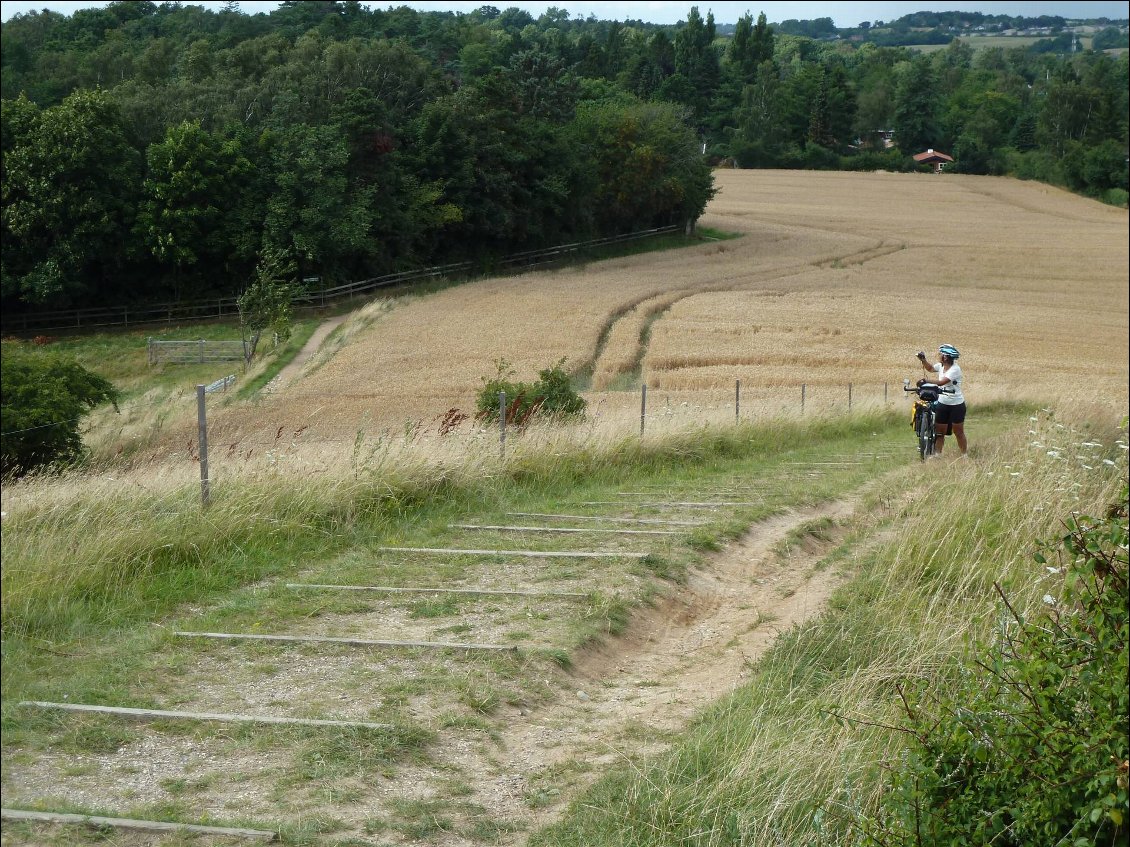 Certains chemins sont surprenants! (près de Frederiksværk)