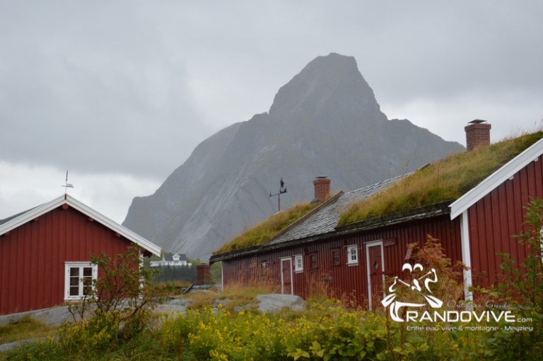 Reine, les robre, cabanes de pêcheurs.