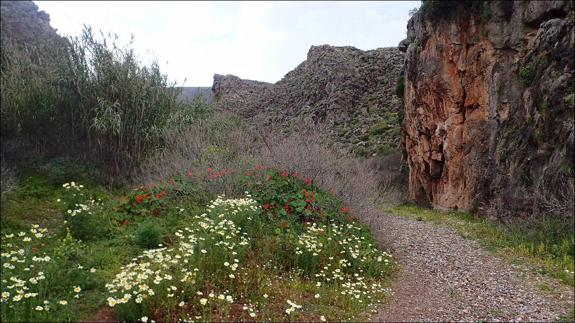 Entree dans 'les gorges de la mort' a Kato Zakros