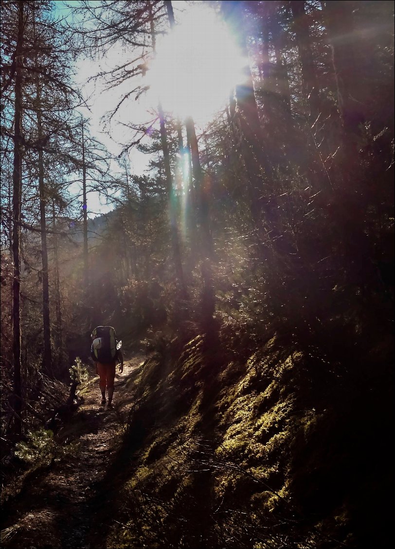 Ensuite, la montée en forêt est très agréable : ombragée avec quelques percées du soleil, que nous apprécions, il ne fait pas si chaud !