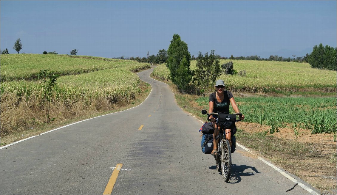 A l'approche de Mae Sot, la forêt laisse place à un paysage très vallonné et cultivé.