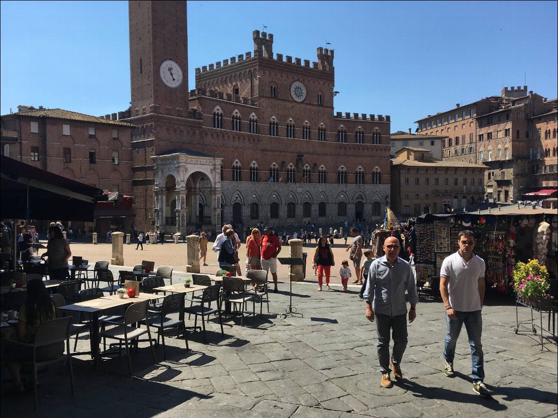 piazza del campo, siena