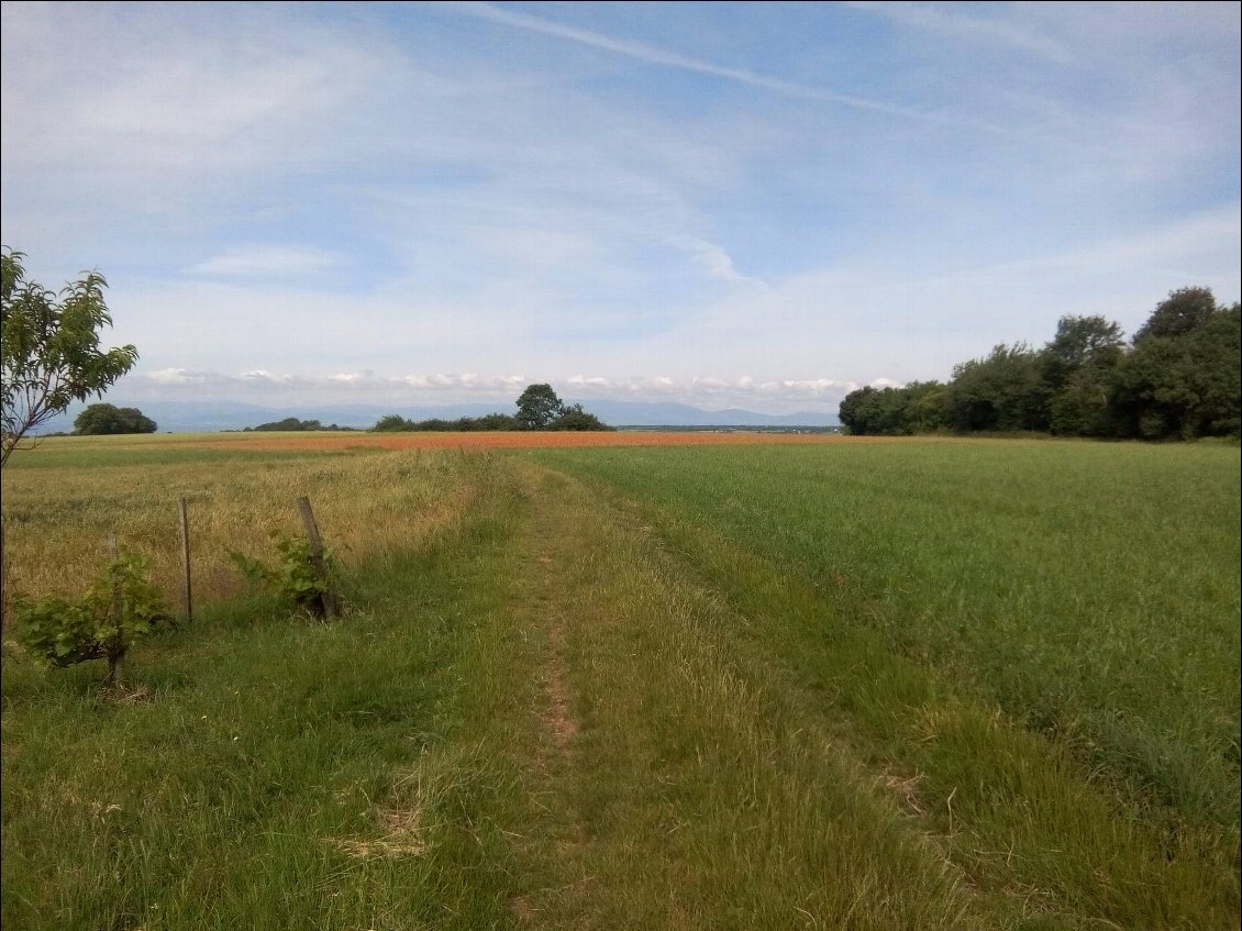 Section 3