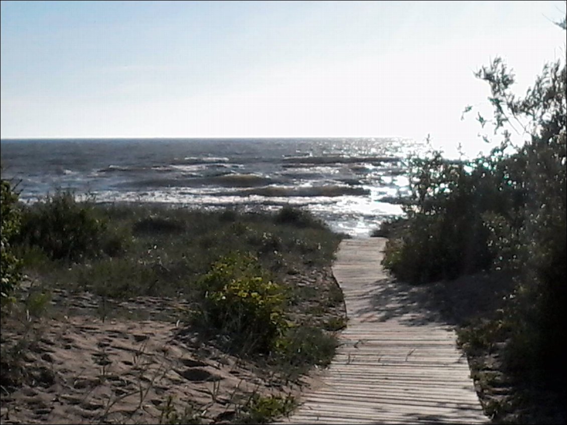 Je retrouve enfin la Baltique pour un bivouac dans les dunes sous les pins.