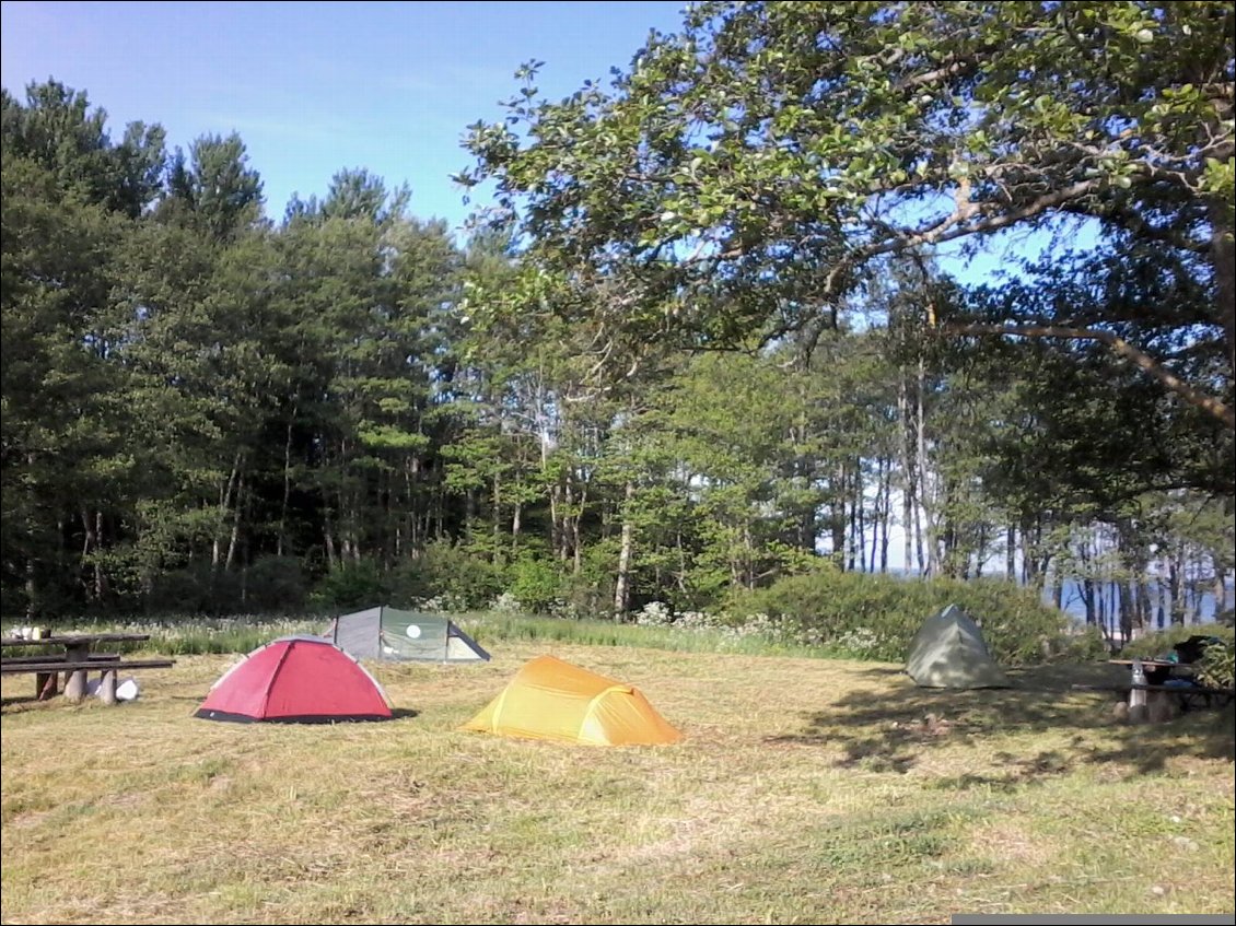 A cette latitude, j'avais trouvé un coin de bivouac style "papy -mamie" : herbe fauchée, des tables de pique nique, des toilettes sèches. J'étais seule au moment de monter la tente. Surprise ! En revenant de la plage, le campement s'était agrandi.