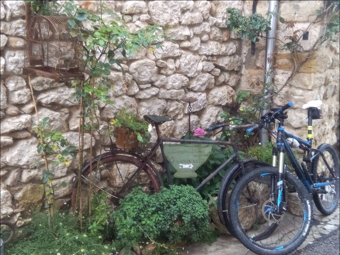 Rencontre de mon VTT // Ô vieux vélo.