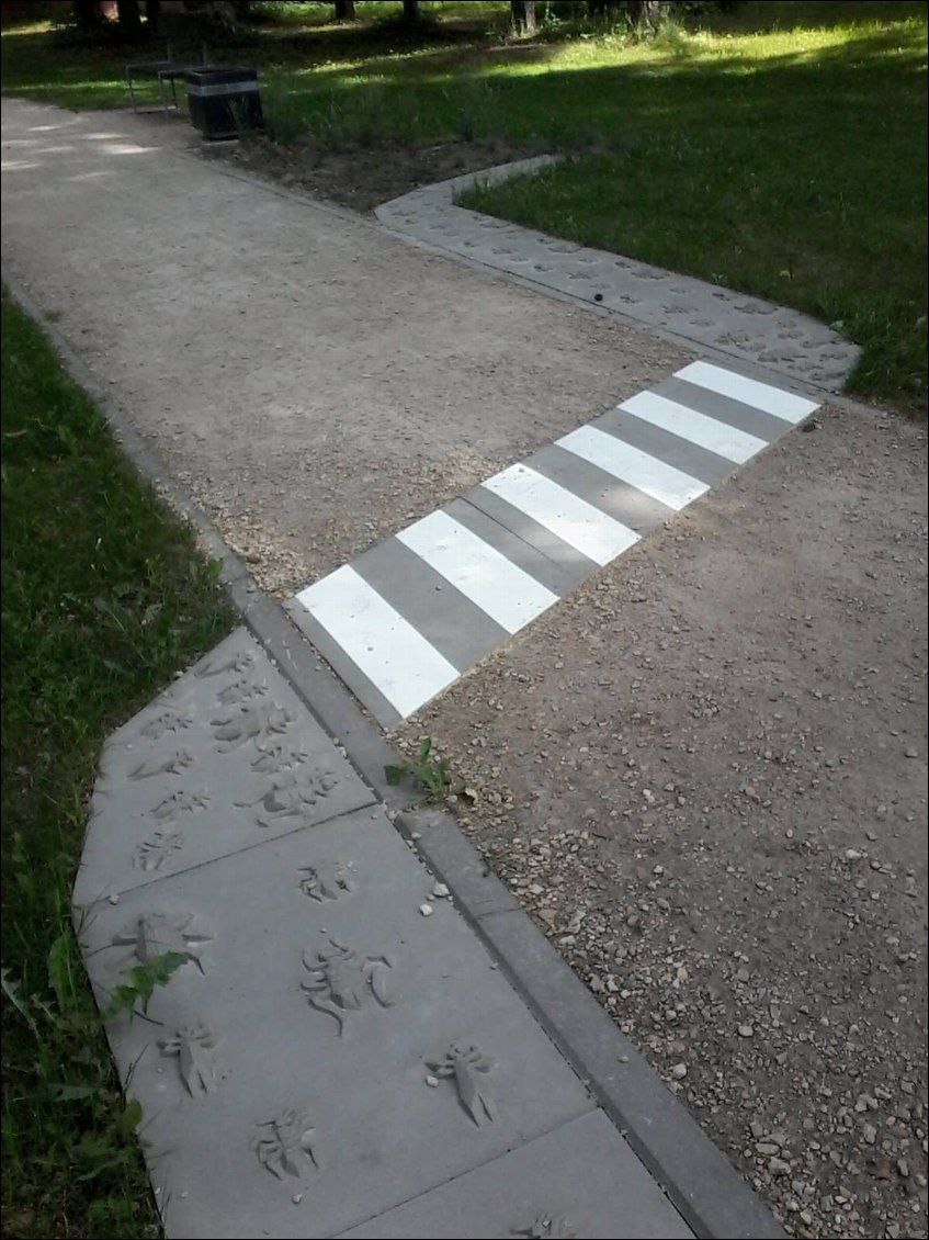 Passage à piétons pour p'tites bestioles.