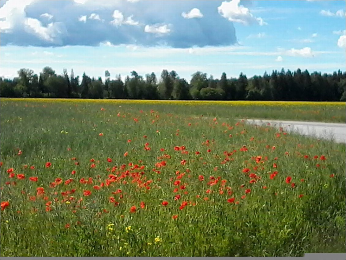 A travers la campagne