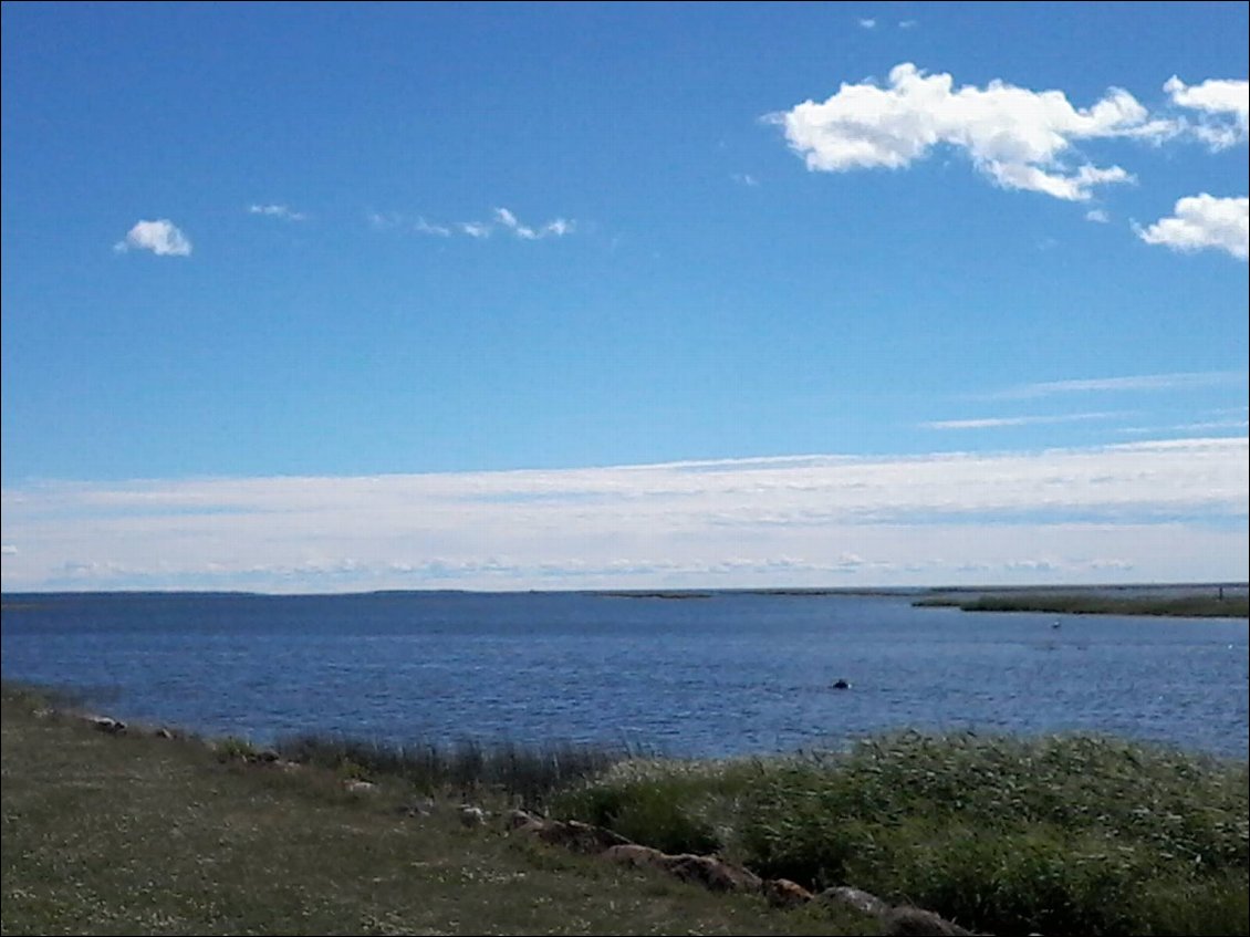 Au bout du port, face au Sud. Là bas derrière l'horizon, le cap de Kolka en Lettonie me cligne de l'oeil. Je viens de boucler le tour du golfe de Riga.