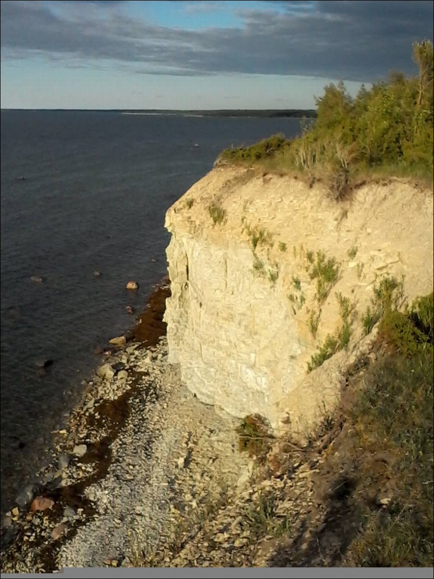 Les falaises de Panga. Ce sont les plus hautes et les plus longues de l'archipel de l'Ouest estonien. On peut trouver beaucoup de fossiles dans ces roches. D'ailleur, j'ai ramassé un caillou où apparaissent les structures en chaînes de halysites corallites. Mouty, c'est ton cadeau de fête des mères ! J'espère que t'es contente. Enfin bon, ça pèse dans le sac. Arrivera t-il à bon port ?