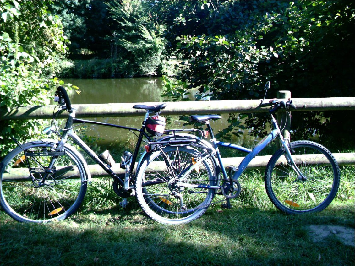 Camping Municipal de Mayenne.
Vu sur la rivière de notre tente. Pour un peu nous pourrions pêcher de la tente.