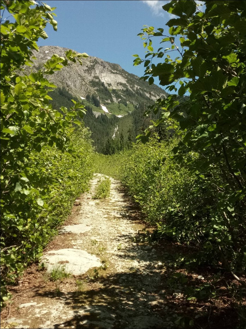 Ah, le chemin vers le col va être plus compliqué que prévu...