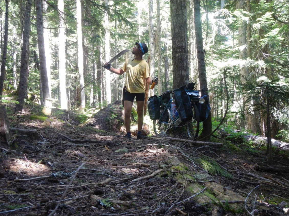 'Arthur et le mystère du sentier perdu' bientôt dans vos salles ?!