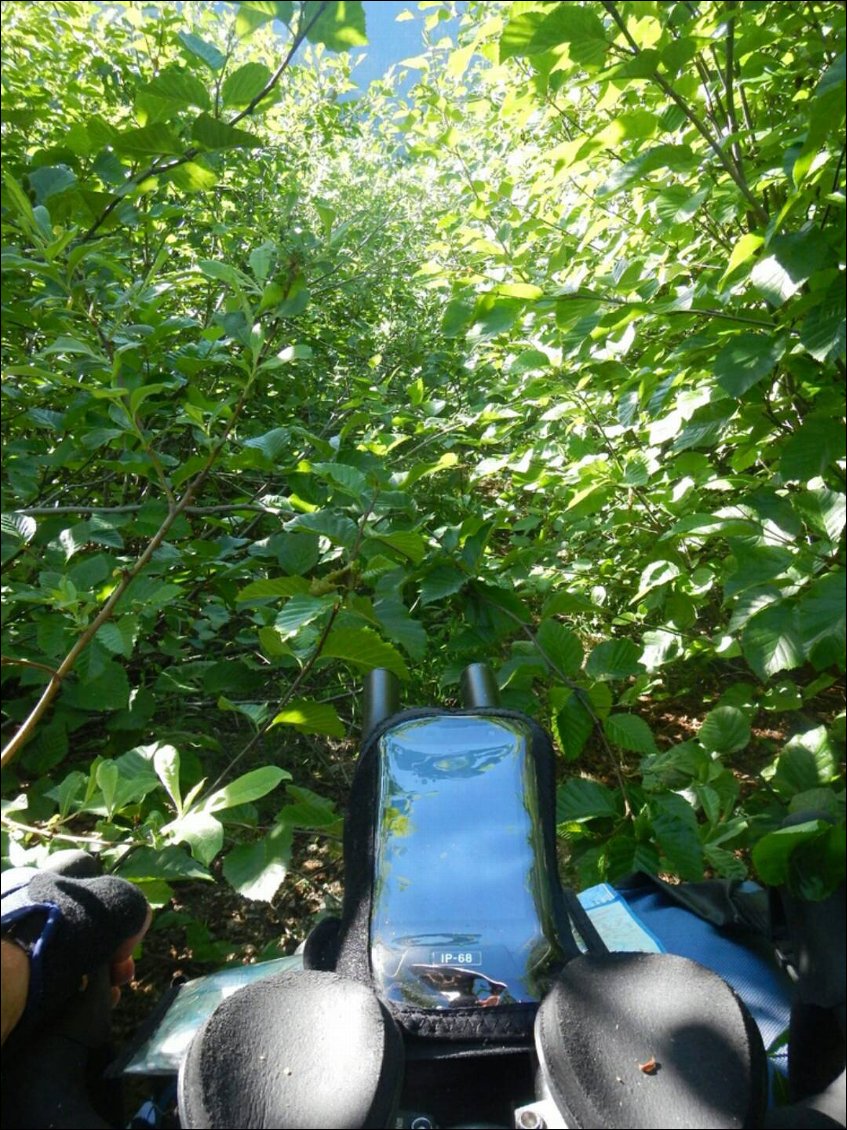 Alors la redescente, n'en parlons pas... La photo n'est pas un montage. Je pense à surnommer mon vélo 'le bulldozer' après ça :D
Je crois n'avoir jamais autant parlé qu'aujourd'hui (pour prévenir les éventuels ours de ma présence) xd
J'arrive finalement à 20h en bas et trouve une super clairière équipée pour dormir. Ouf! What an adventure!