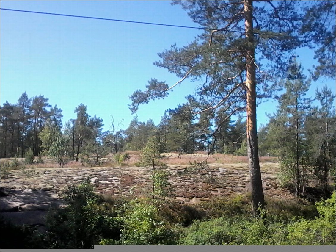 Au sommet des bosses : forêts, granits et mousses