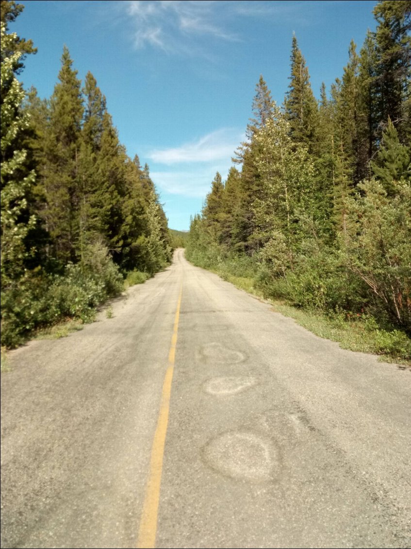 10km sur l'ancienne route. J'espère ne pas croiser d'ours.