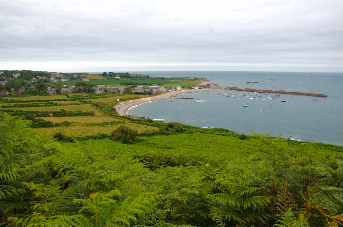 Le port d'Omonville-la-Rogue