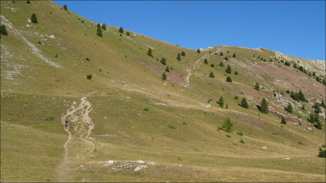 presque en bas de la variante