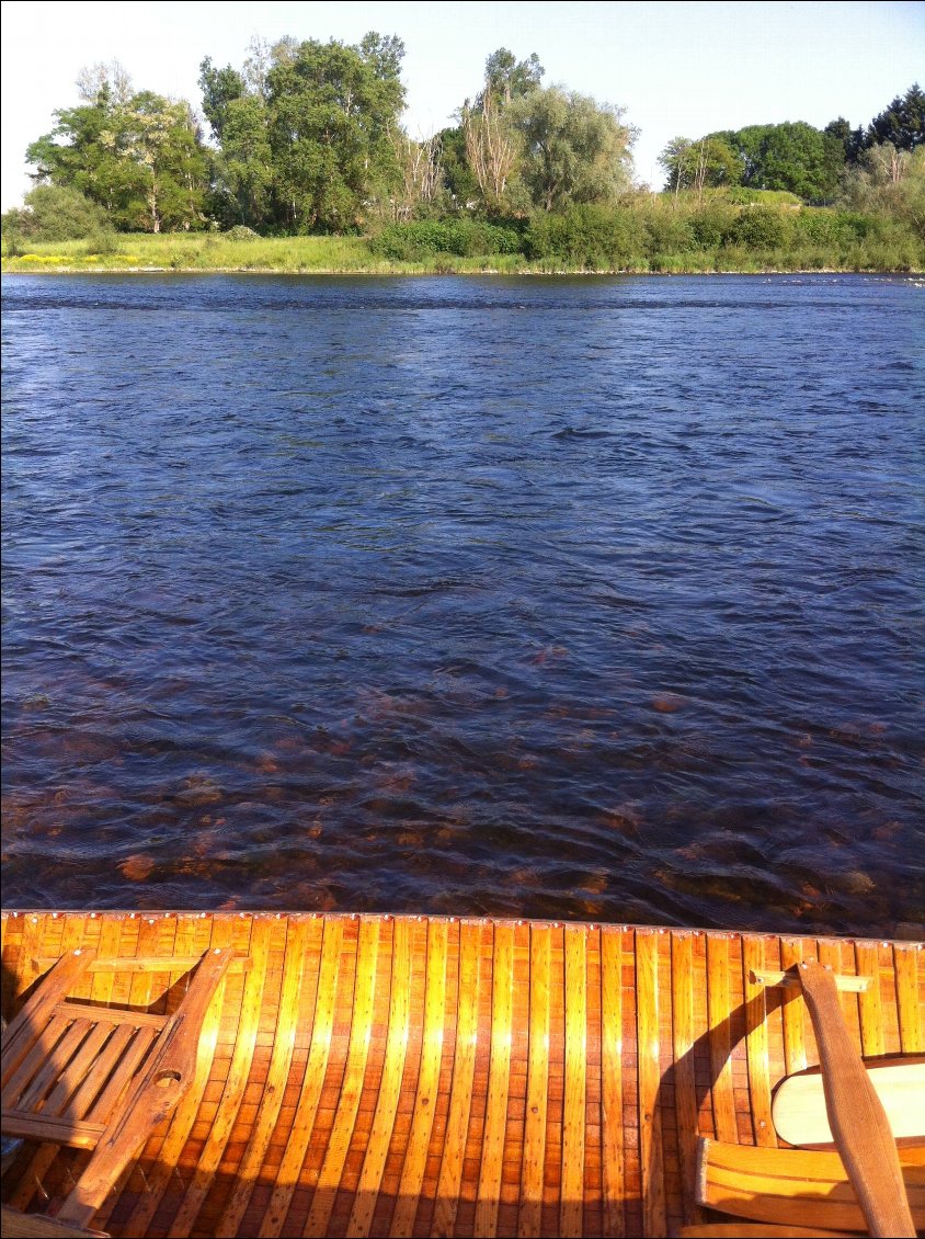 Après quelques jours au sec, le canoë prend l'eau au moment de partir!!
Il aura eu besoin de deux à trois heures d'immersion pour retrouver son étanchéité, et oui, le bois est une matière vivante!! Et il est si beau qu'on lui pardonne tout...
Bon, à son âge avancé, il a aussi le droit d'avoir quelques petites fuites, il a plus de 70 ans...
Fait pour durer, n'est-ce pas? Acajou, acacia, hêtre... Que du beau! Et un poids à sec qui n'a pas beaucoup à envier à ses confrères en synthétique: une quarantaine de kilos. (un old town classique fait environ 36kg). Le seul hic: immergé pendant quelque temps, il en prend une dizaine!!