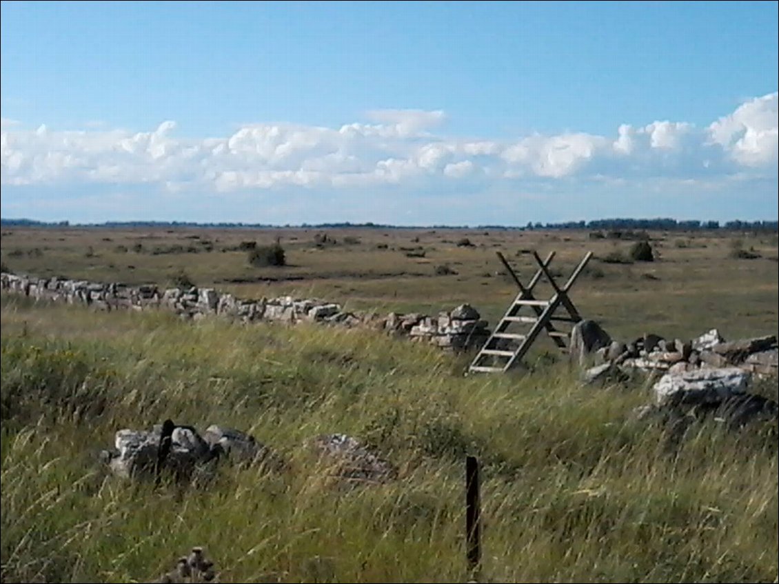 Plus de vaches ou de moutons à l'horizon. Je suis seule.