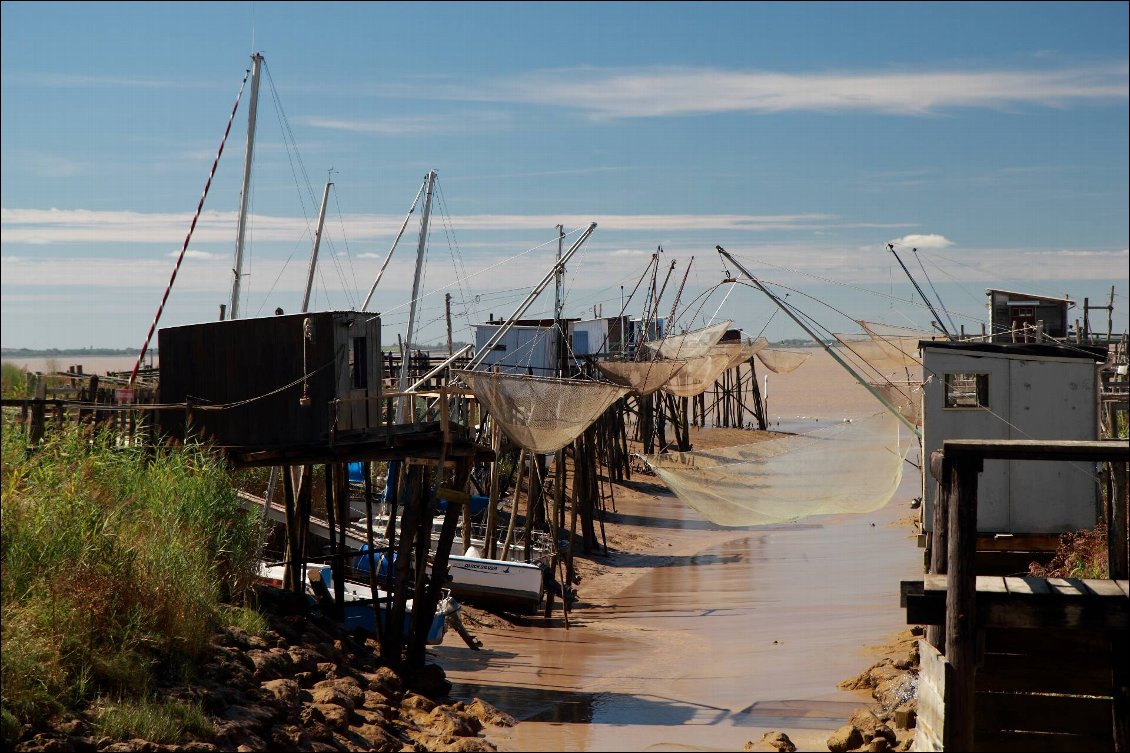 En bord de l'Estuaire de la Gironde.