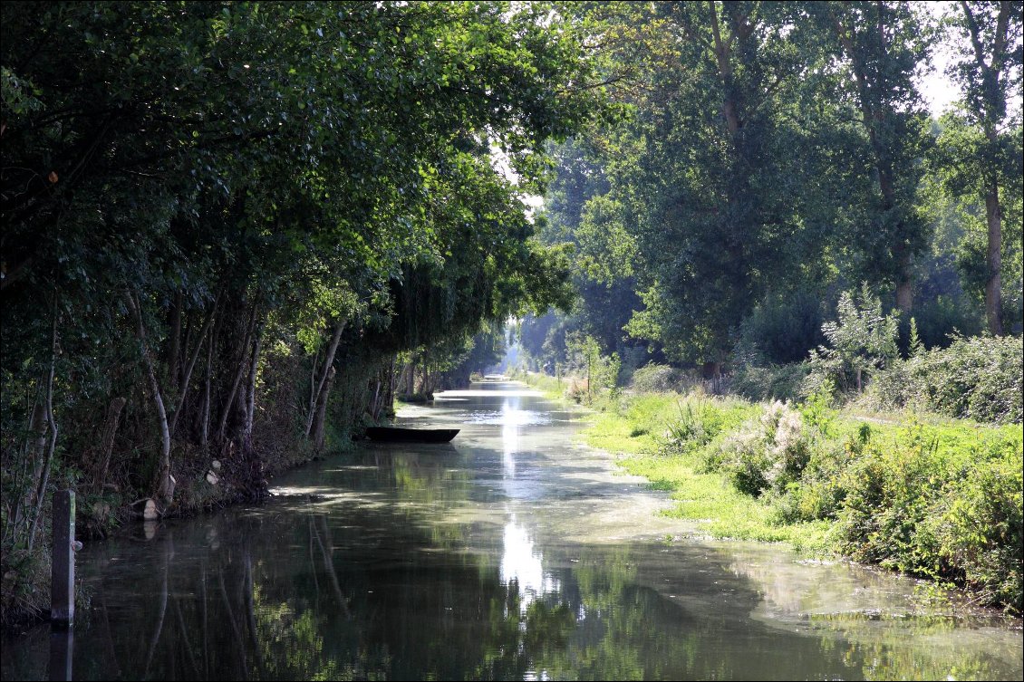 Marais Poitevin.