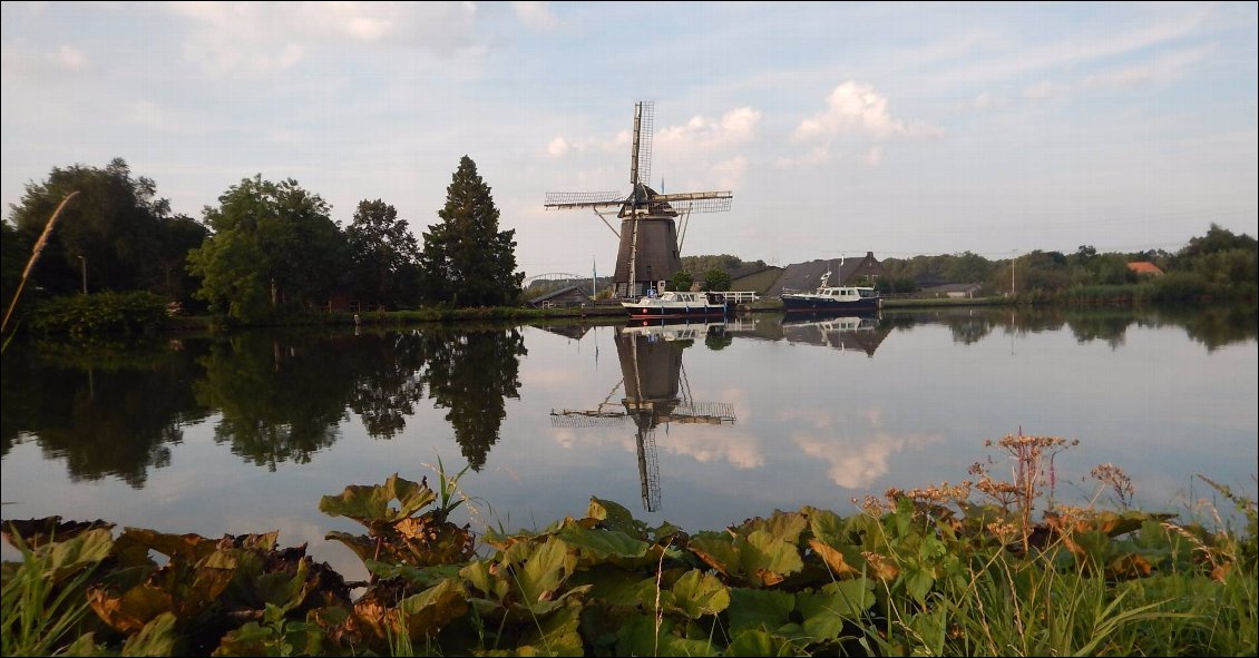 Tour de tandem au Pays des polders