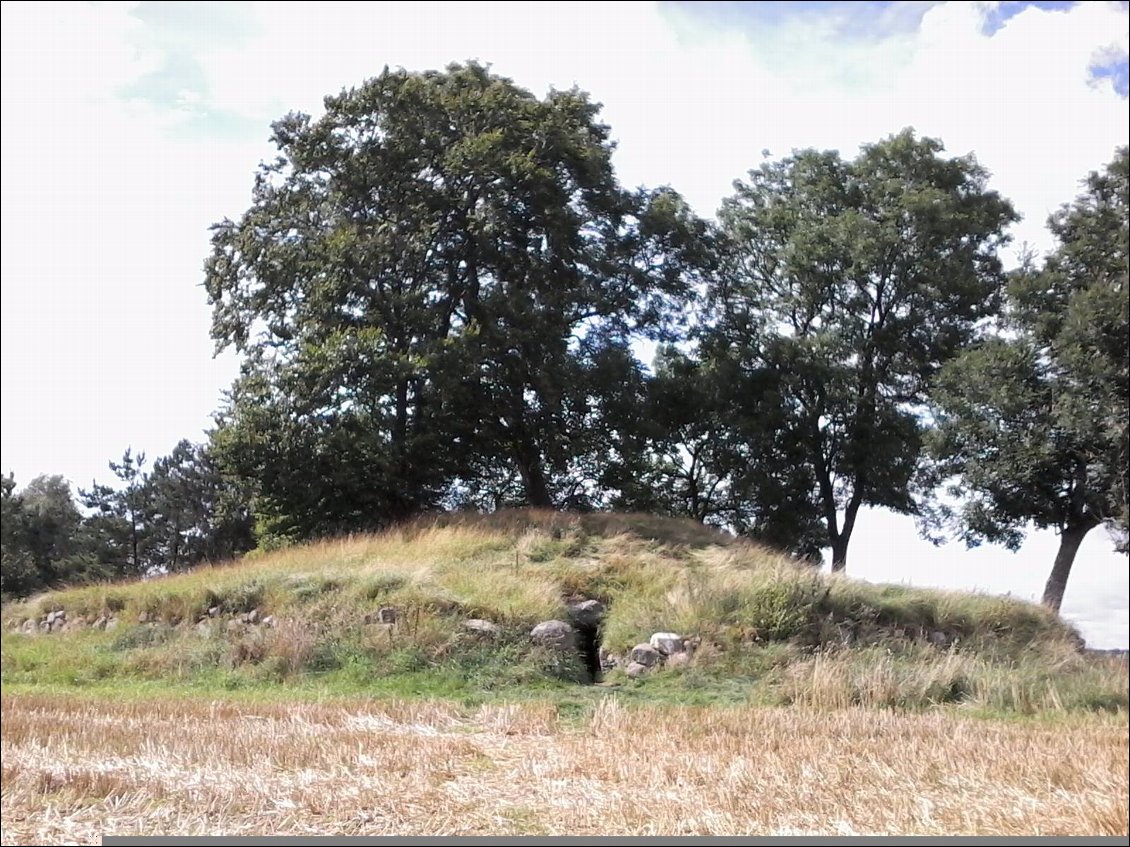 Tumulus ouvert.