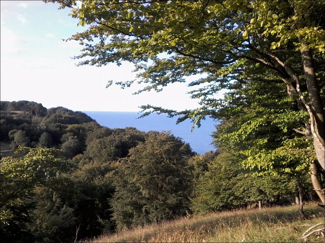 Je plante la tente sur une zone de camping autorisé au milieu des bois.