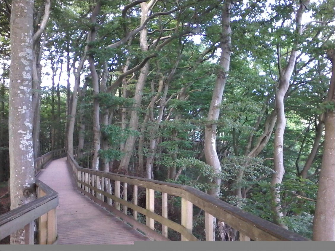 Parcours aménagé en haut des falaises.