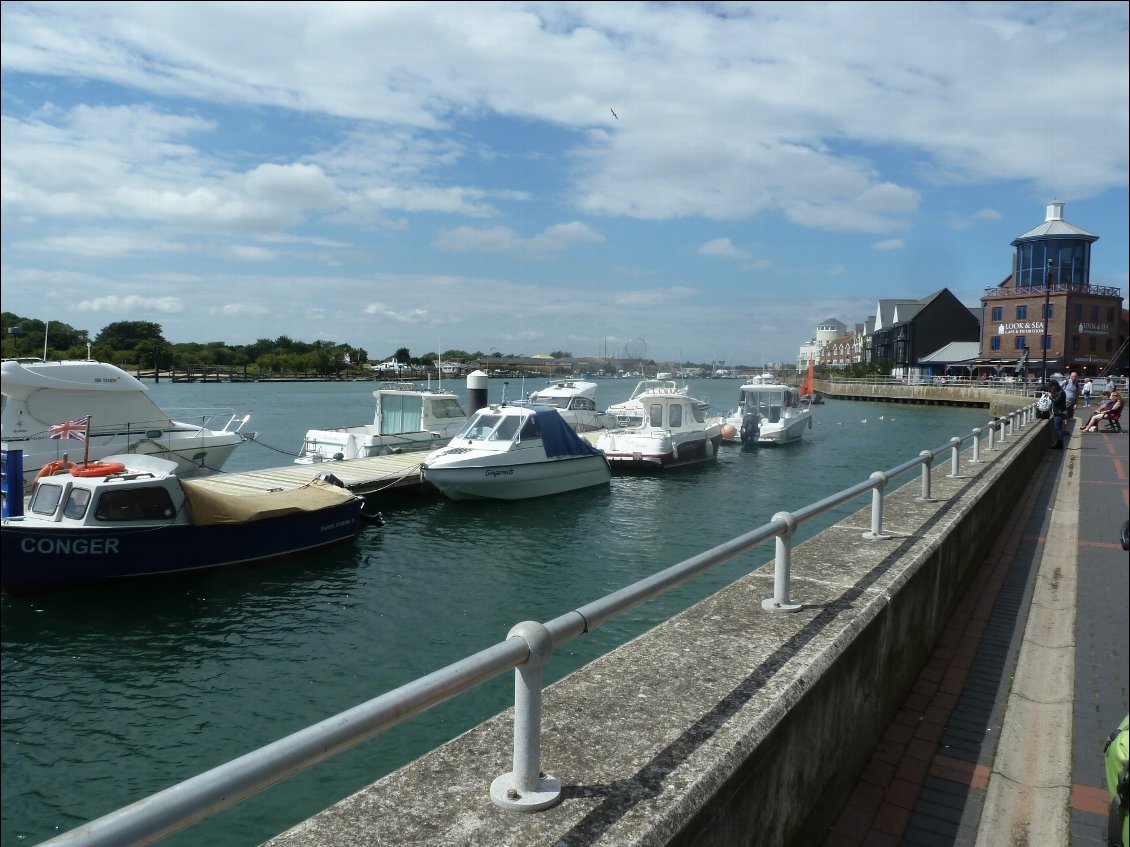 Jolie marina à Shoreham-by-Sea