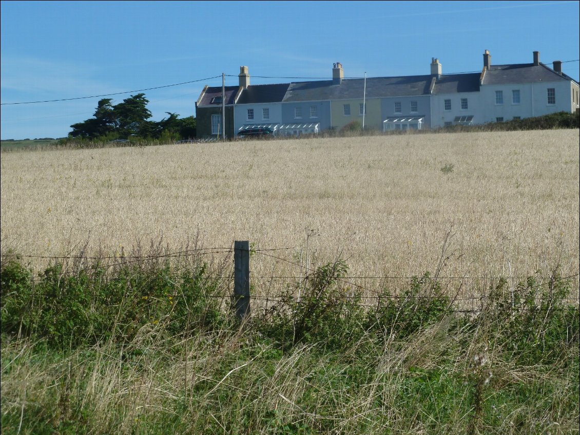 Paysage de l'île de Wight