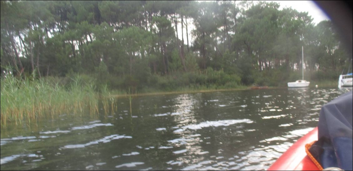 Je sors du petit chenal. Je retrouve le lac . J' ai fait le tour de l'île aux Boucs