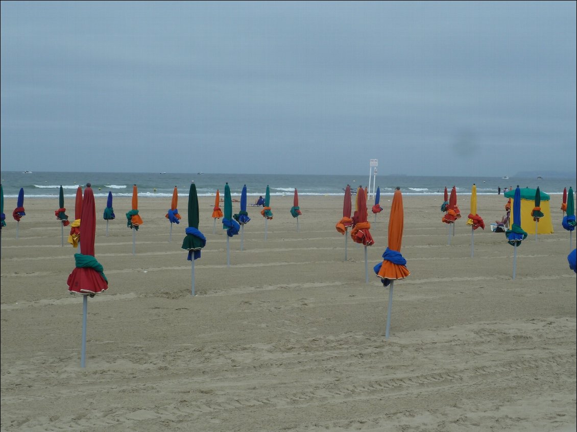 Les parasols de Deauville