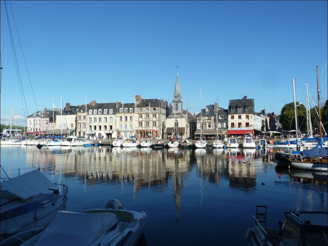 Port de Honfleur au soleil