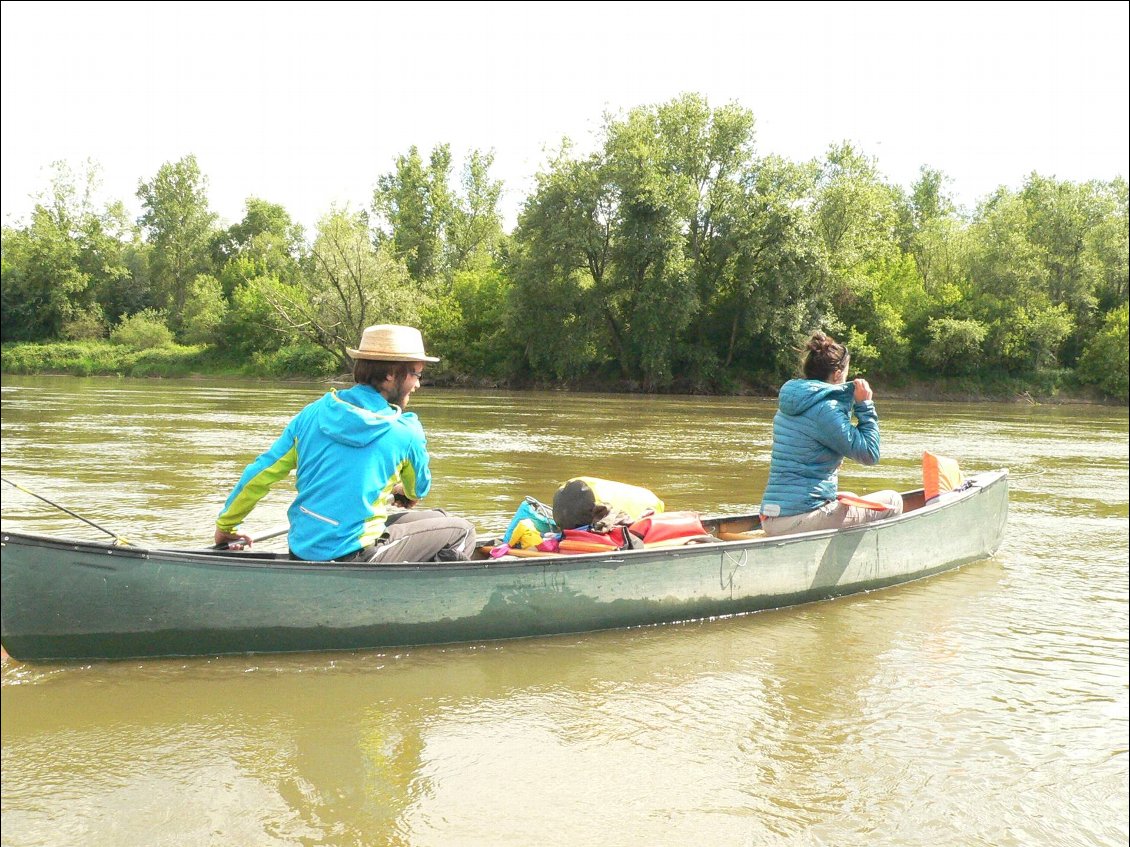 Rencontre de Maud et Pierre-Baptiste, accompagnateurs nature passionnés, qui m'apprennent plein de choses sur la faune et la flore du fleuve, comment me laver les mains avec les saponaires, les jolis bihoreaux qu'ils croisent, un pur bonheur de discuter avec des spécialistes!
Décidément, sur le fleuve, on fait des rencontres très sympas!